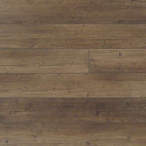 Paragon 5 Inch Plank Plus Tactile Pine